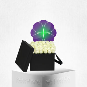 White Roses in Box